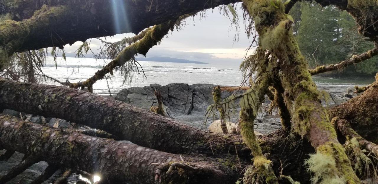 Newfie Seaside Retreat Βίλα Port Renfrew Εξωτερικό φωτογραφία
